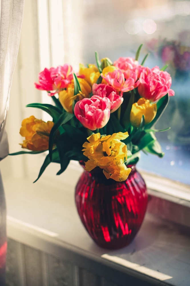 Photo courtesy of pixabay and pexels. 
