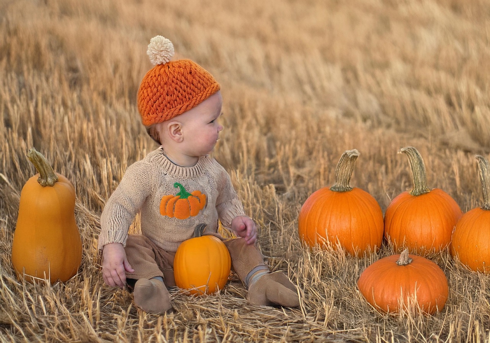 Photo courtesy of pixabay and JillWellington. 