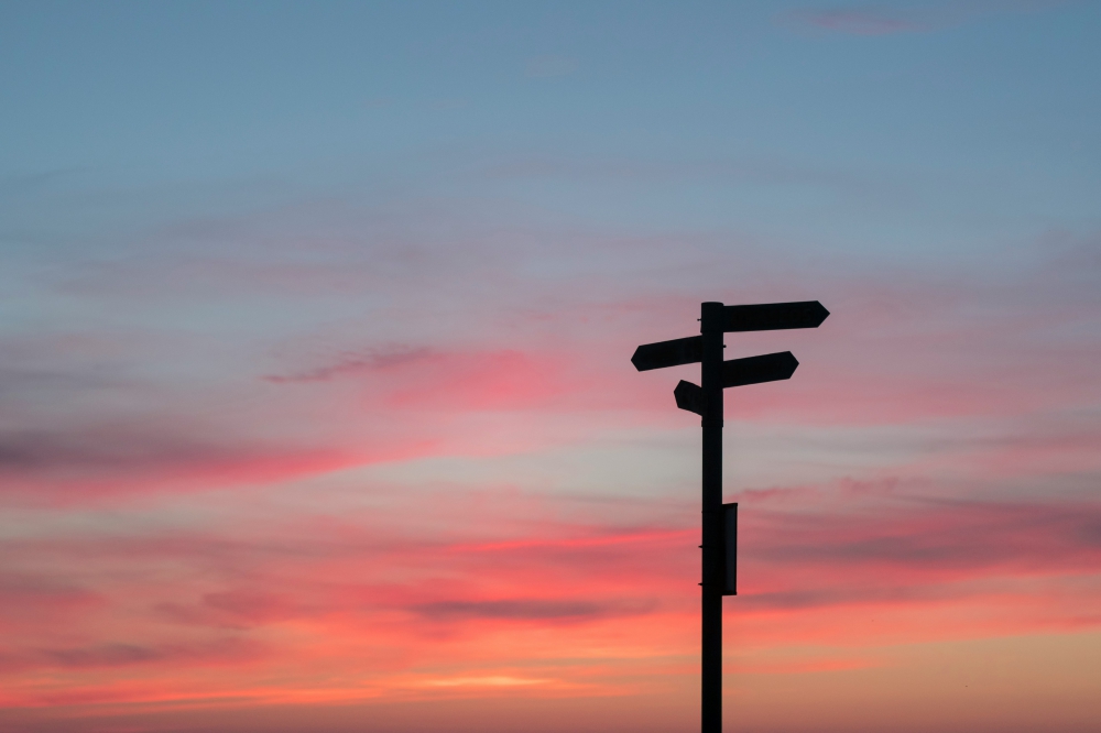 Photo courtesy of Unsplash and Javier Allegue Barros. 