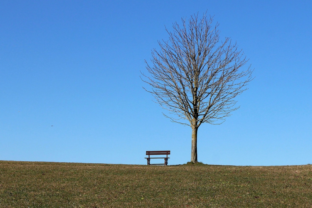 Photo courtesy of pixabay and https://christiandevotions.us/viewblogentry/11366. 