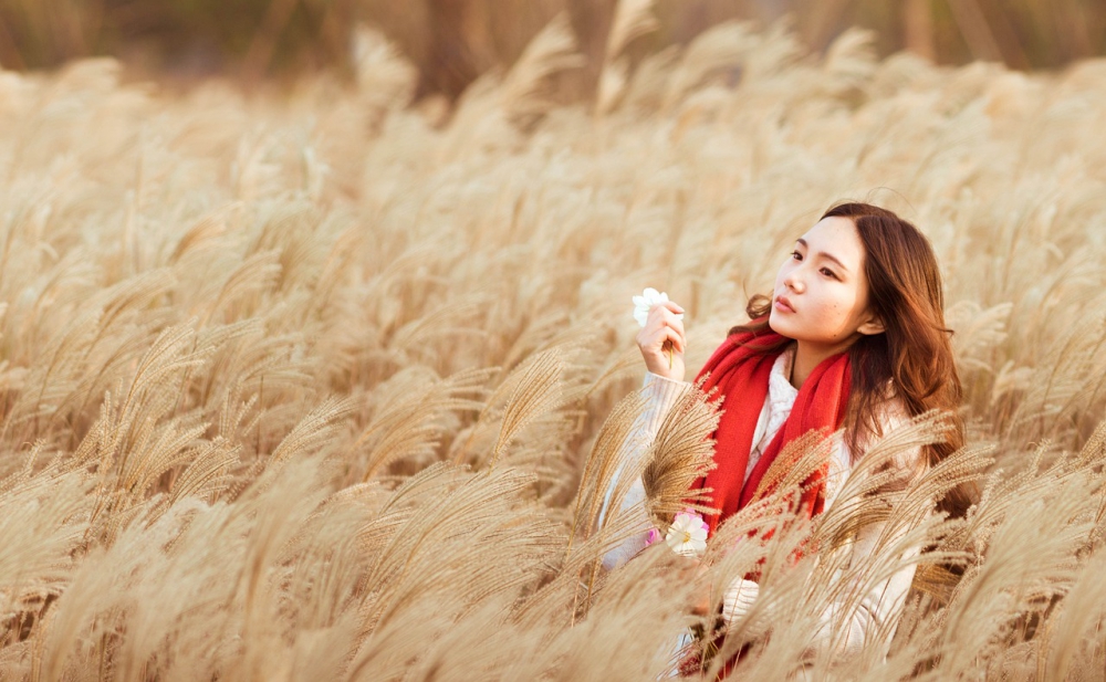 Photo courtesy of pixabay and huweijie07170. 