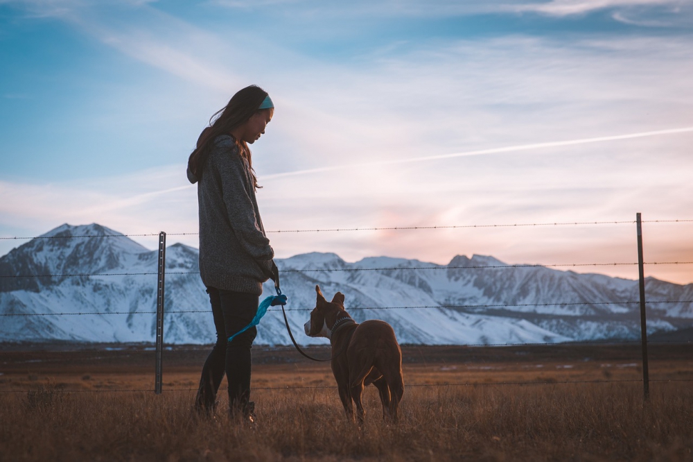 Photo courtesy of pixabay and Pexels. 