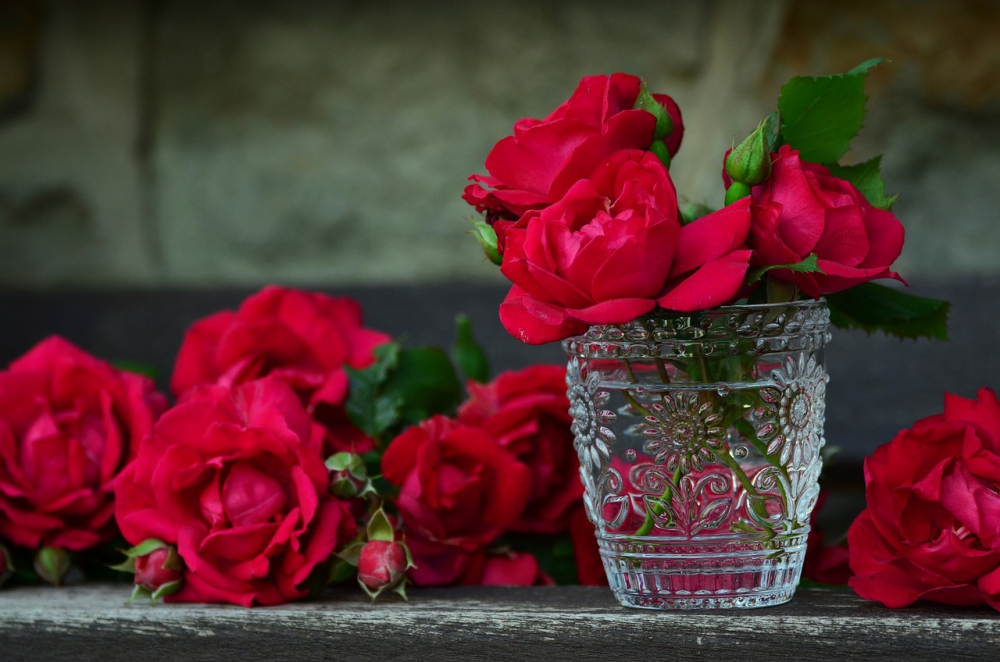 Photo courtesy of pixabay and congerdesign.
