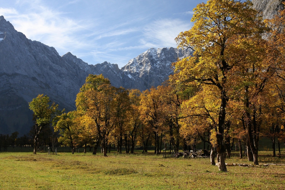 Photo courtesy of pixabay and hias_schell. 