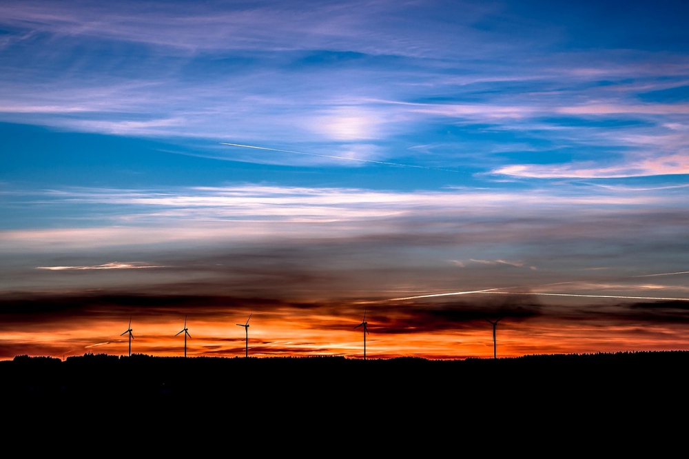 Photo courtesy of pixabay and Myriams-Fotos.