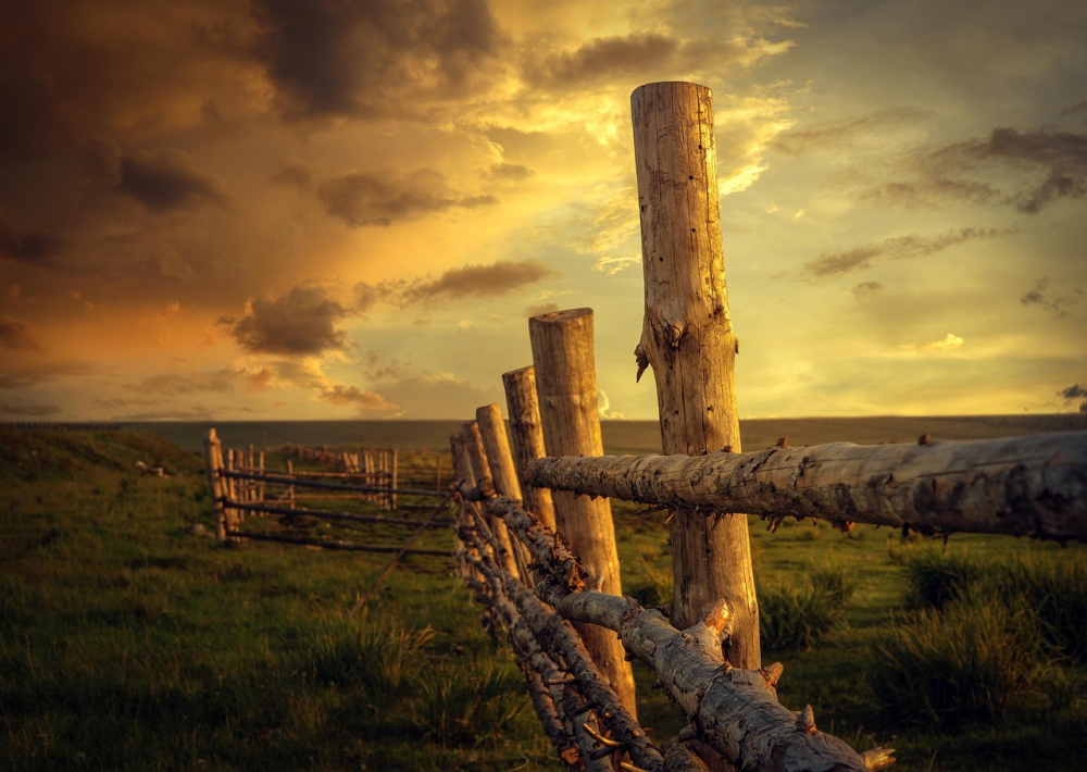 Photo courtesy of pixabay. 