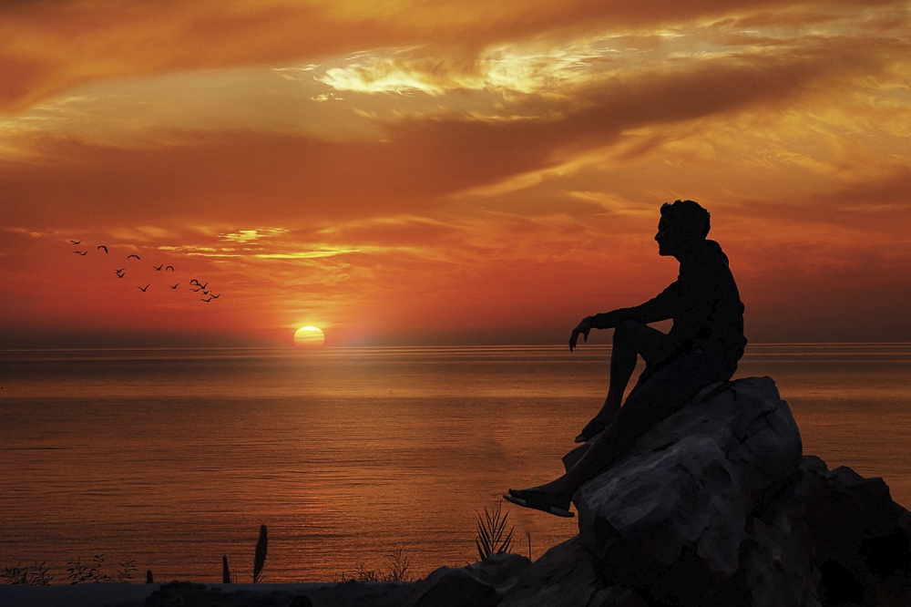 Photo courtesy of pixabay and janrye.