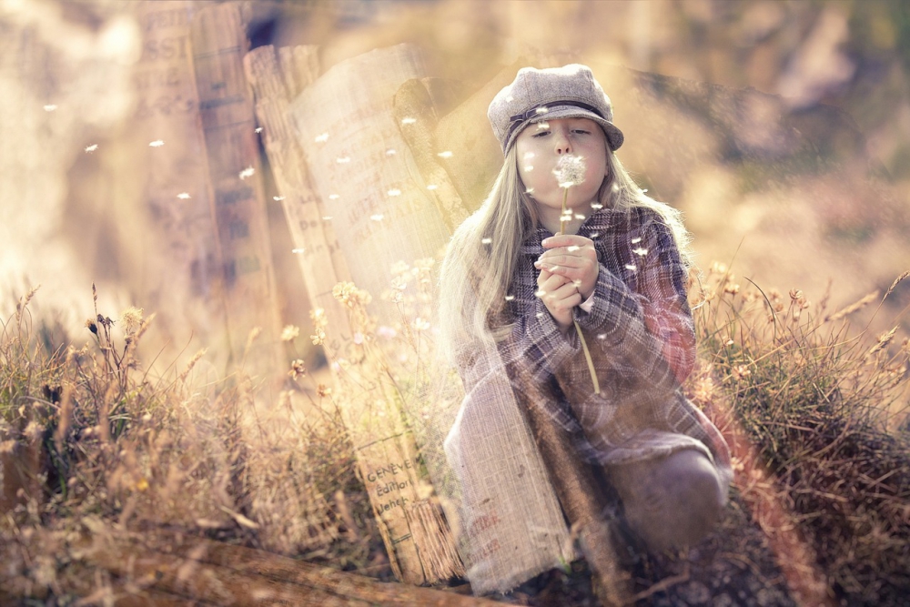 Photo courtesy of pixabay and Pezibear. 