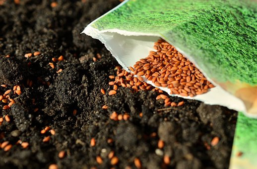 sowing scarecrows