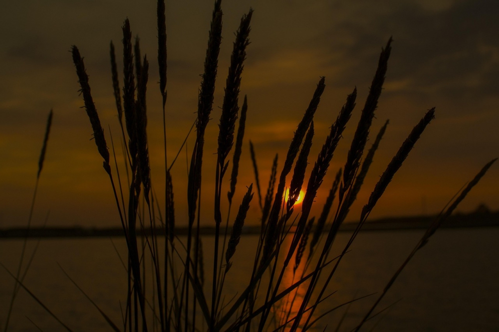 Photo courtesy of pixabay and crerob.