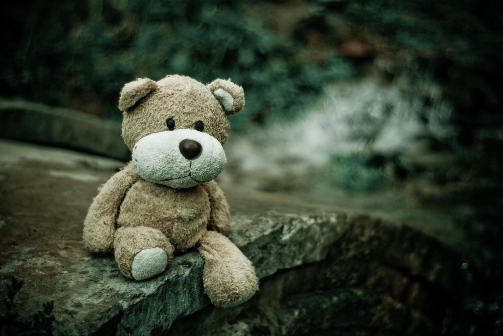 Photo courtesy of pixabay and Pexels. 
