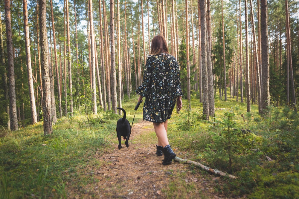 Photo courtesy of pixabay and furry_portraits.