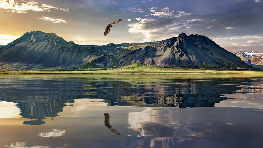 Photo courtesy of pixabay and Andrew-Art. 